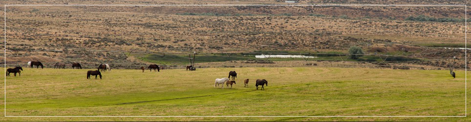 Slideshow_01
