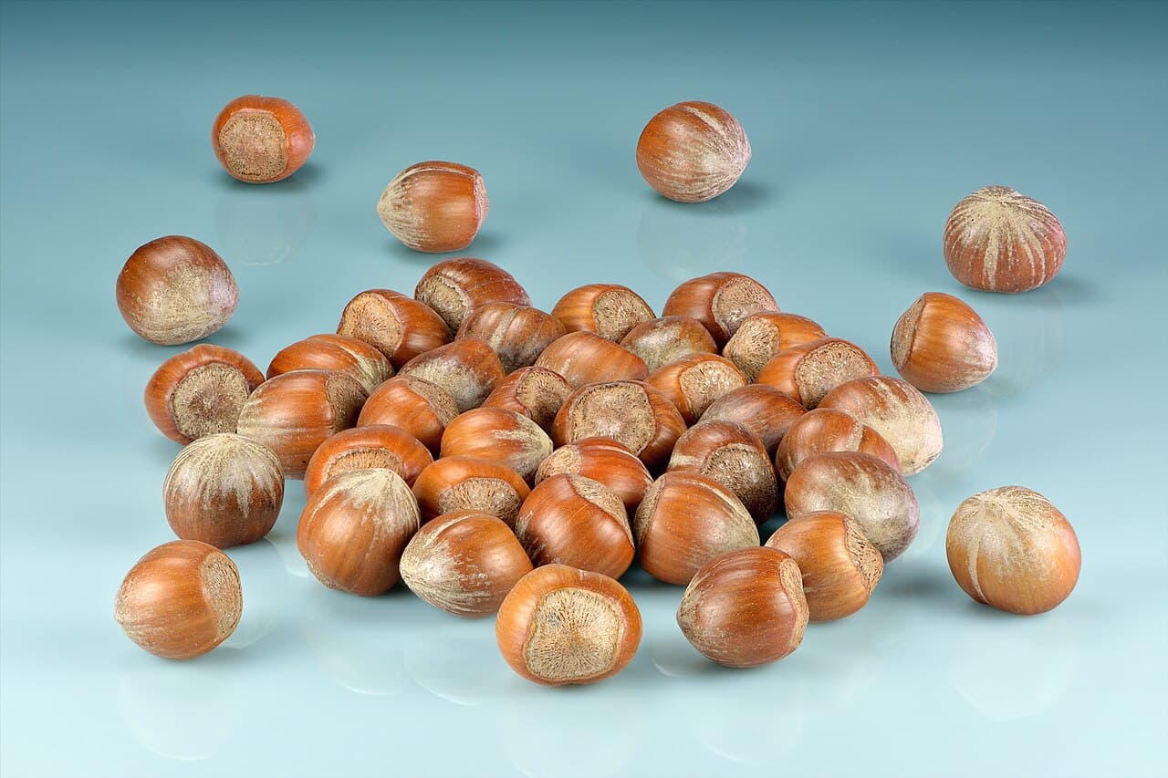 Whole filberts (hazelnuts)